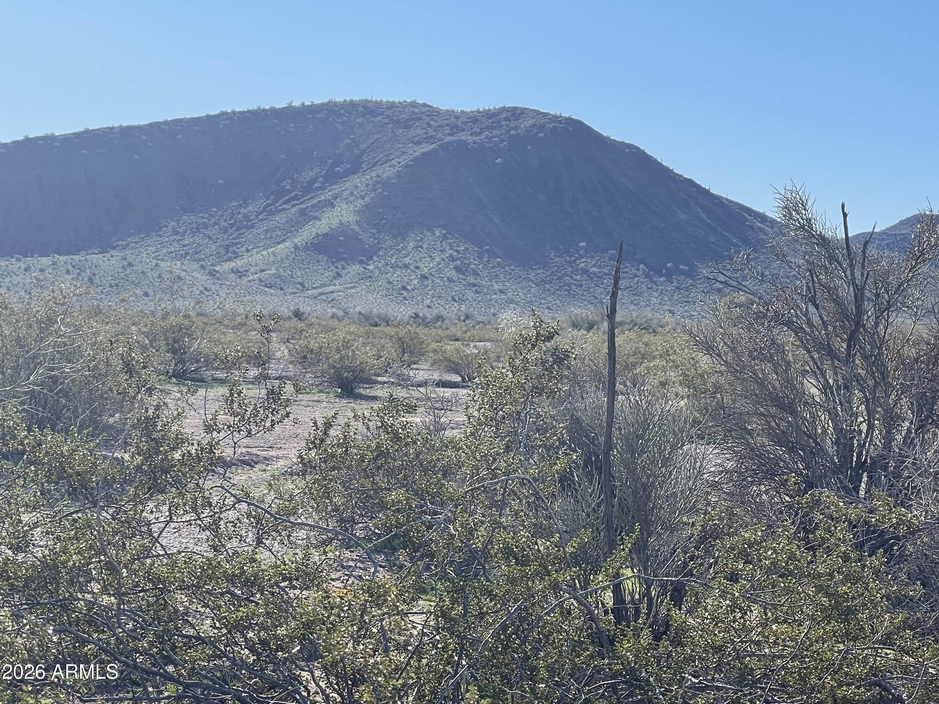 Land in Tonopah 2