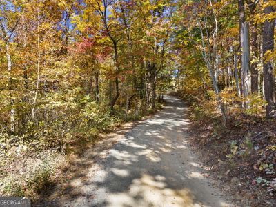 11.51 AC Old Burnt Mt Rd, Home with 0 bedrooms, 0 bathrooms and null parking in Ellijay GA | Image 3