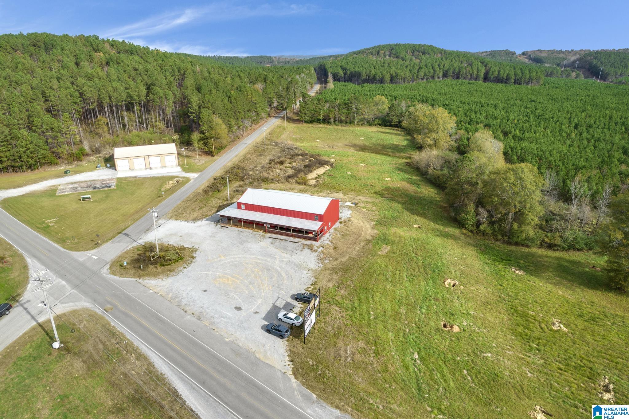 1455 County Road 110, Cullman, AL 35057