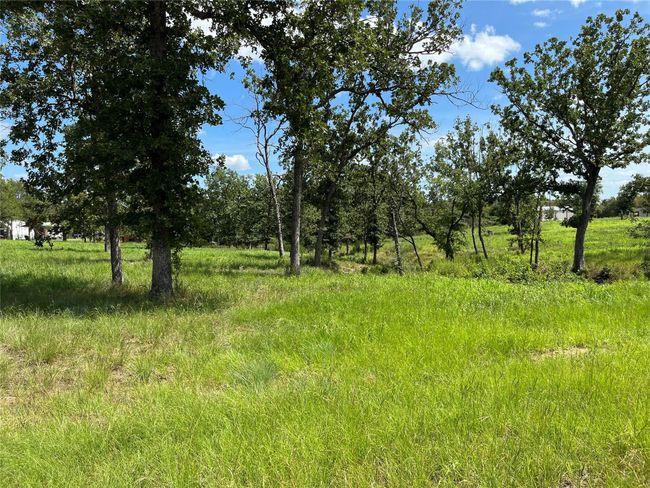 00 Hickory Loop, Home with 0 bedrooms, 0 bathrooms and null parking in Thornton TX | Image 5