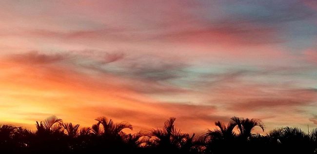 Sun rise | Image 58