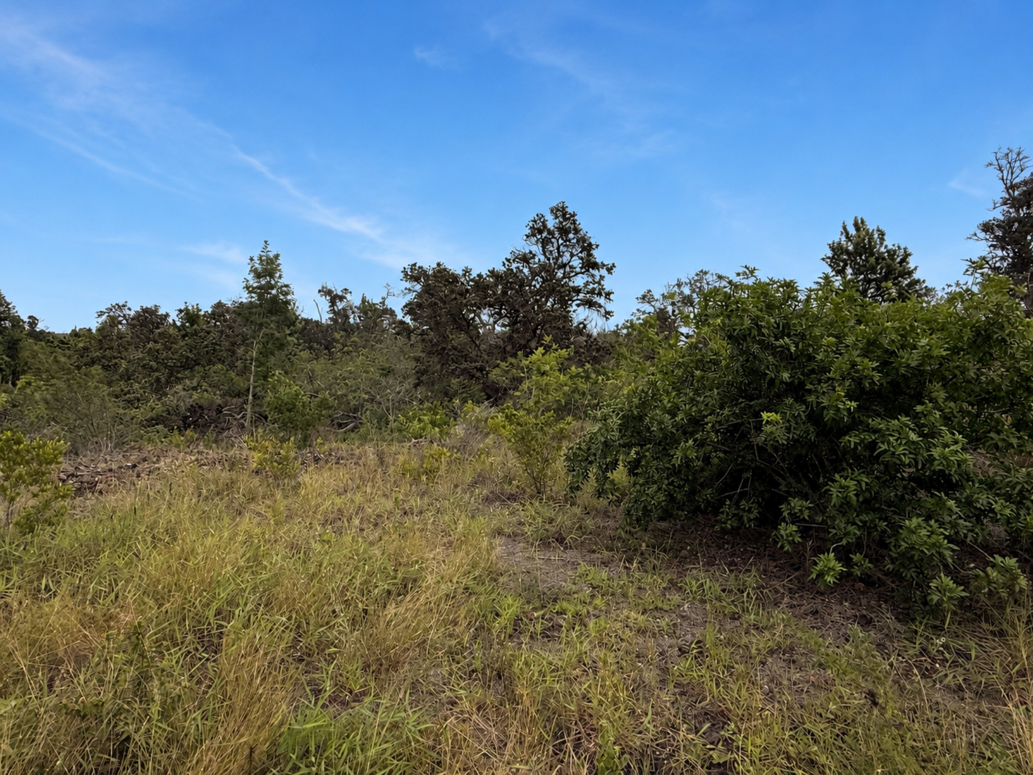 Land in Ocean View