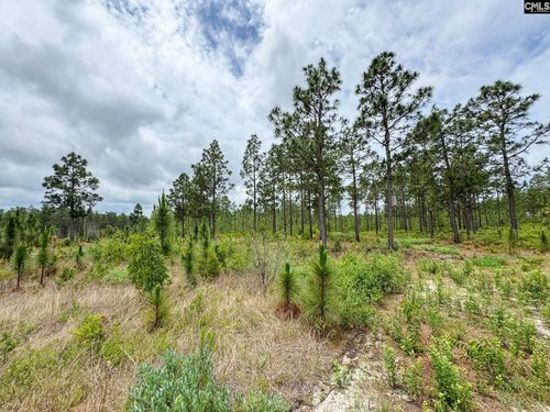 0 Neely Wingard Rd, Gilbert, SC, 29054 | Card Image