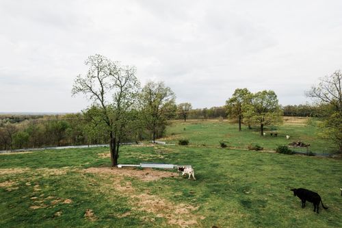 Tbd Buckeye Ln, Stella, MO, 64867 | Card Image