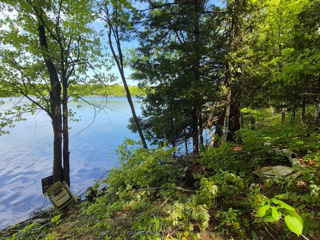 1152 Warrington Lane, Home with 0 bedrooms, 0 bathrooms and null parking in Sharbot Lake ON | Image 10