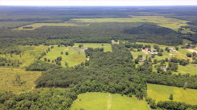 00 Lloyd Fregia Road, Home with 0 bedrooms, 0 bathrooms and null parking in Batson TX | Image 15