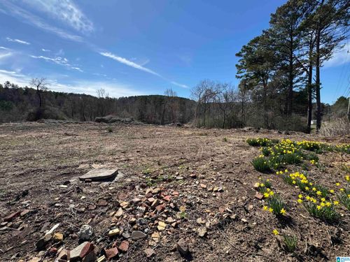 0-0 Columbus Blvd, Cordova, AL, 35550 | Card Image