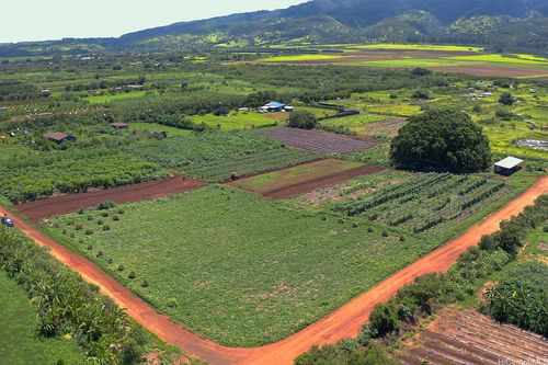 lot-27-0 Farrington Hwy, Waialua, HI, 96791 | Card Image