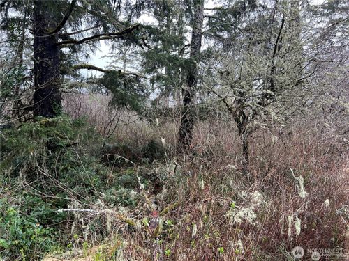 0 X 102nd Pl, Long Beach, WA, 98631 | Card Image