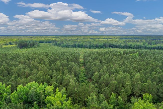 DJI_0306 | Image 43
