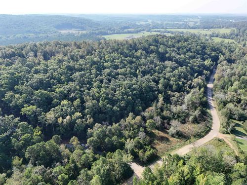 00 Long Branch Ln, Bee Branch, AR, 72013 | Card Image