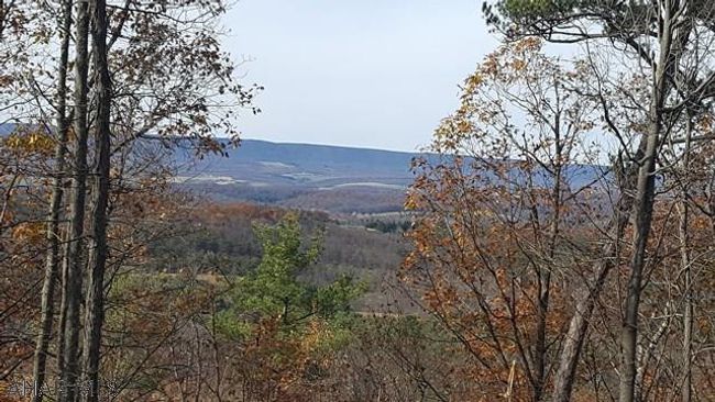 1 Glade Pike, Home with 0 bedrooms, 0 bathrooms and null parking in Manns Choice PA | Image 7
