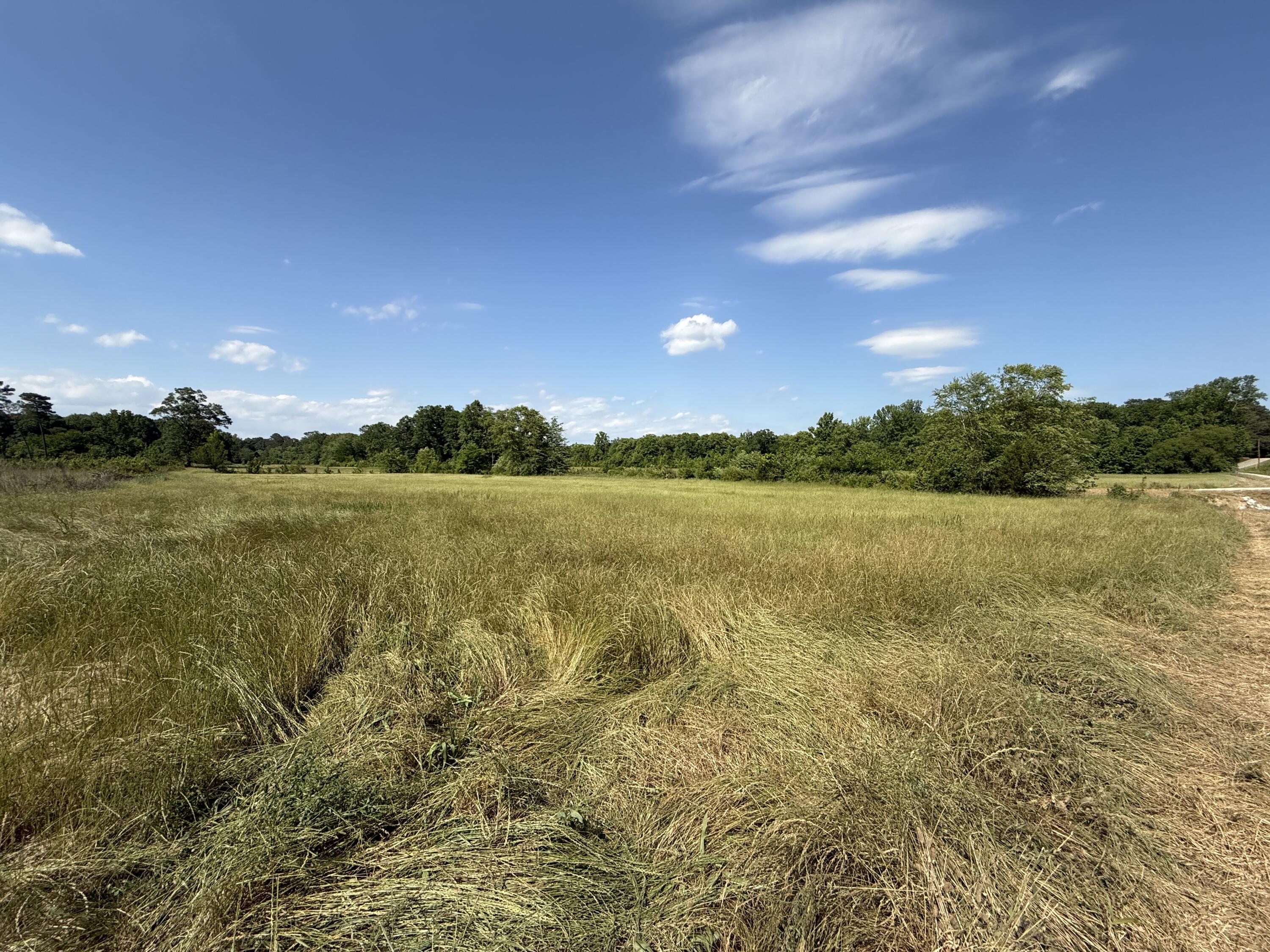 Land in Fulton 2