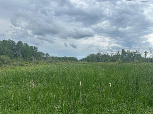 TBD County Line Road, Aldrich, MN, 56434 | Card Image