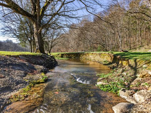 113 Poorhouse Rd, Taft, TN, 38488-5227 | Card Image