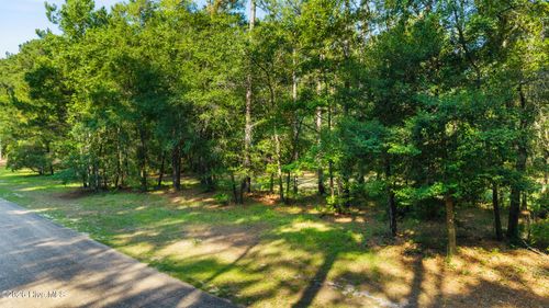 230 River Woods Drive, Wallace, NC, 28466 | Card Image