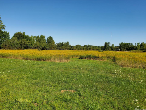 V/L Murphy Lake Road, Millington Township, MI, 48746 | Card Image