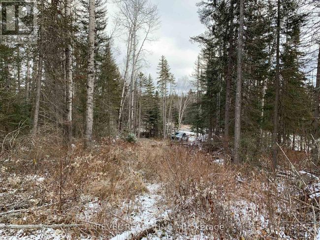 PCL8547 Hwy 101 Highway W, Home with 0 bedrooms, 0 bathrooms and null parking in Timmins (MTJ - 101 West) ON | Image 7