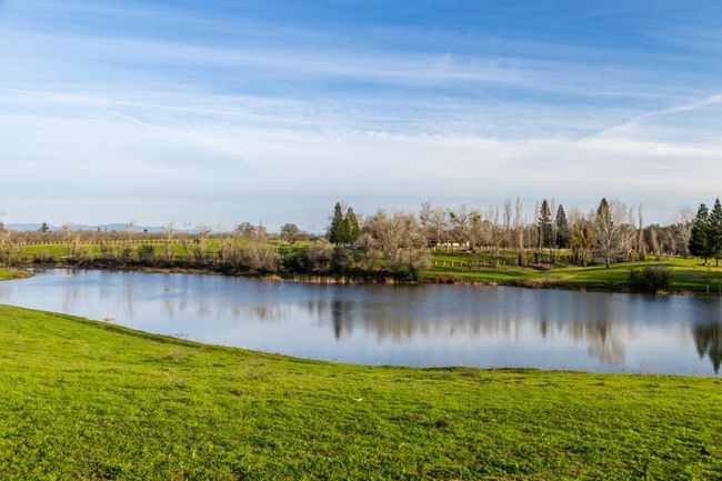 25045 N Mcintire Rd, Home with 0 bedrooms, 0 bathrooms and null parking in Clements CA | Image 4