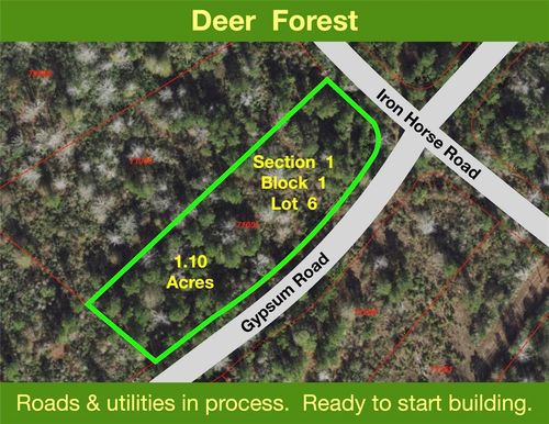 127 Gypsum Rd, New Waverly, TX, 77358 | Card Image