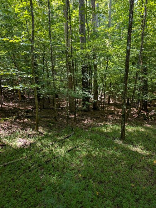 Lt 3079R Monocle Dr, Ellijay, GA, 30540 | Card Image