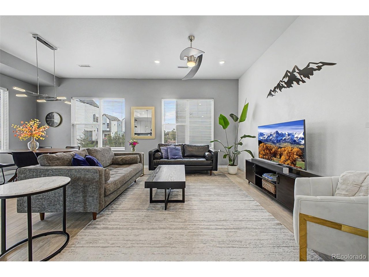 Residential in Denver 3