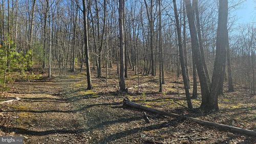 00 Piney Creek Rd, Clearville, PA, 15535 | Card Image