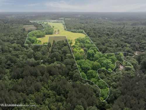 81.64 William Warren Rd, Collins, MS, 39428 | Card Image