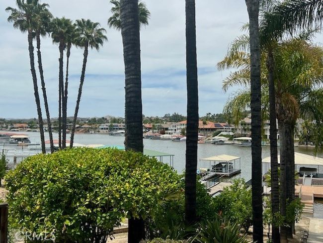 View from the patio while dining | Image 42