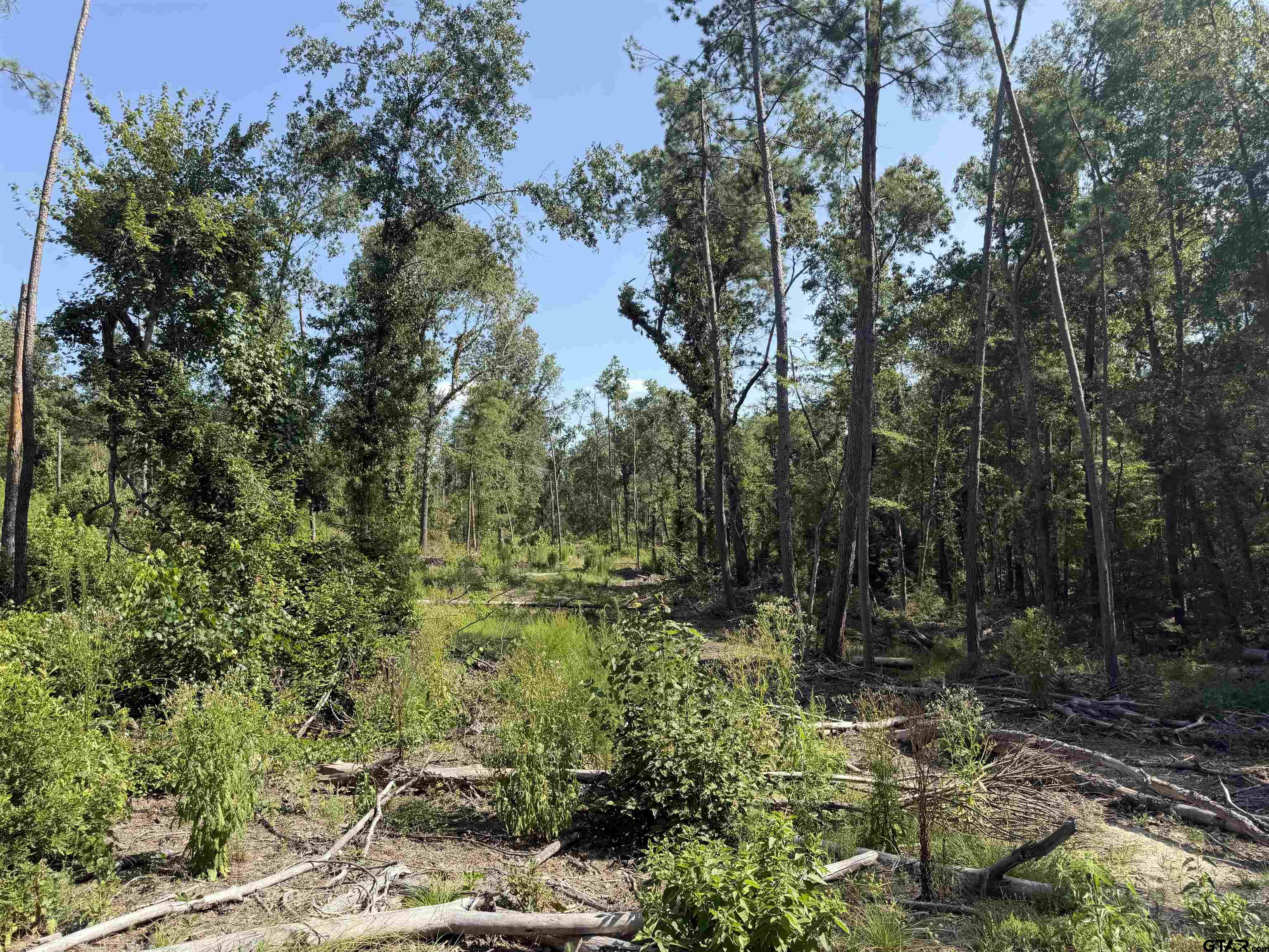 Land in Jacksonville 5