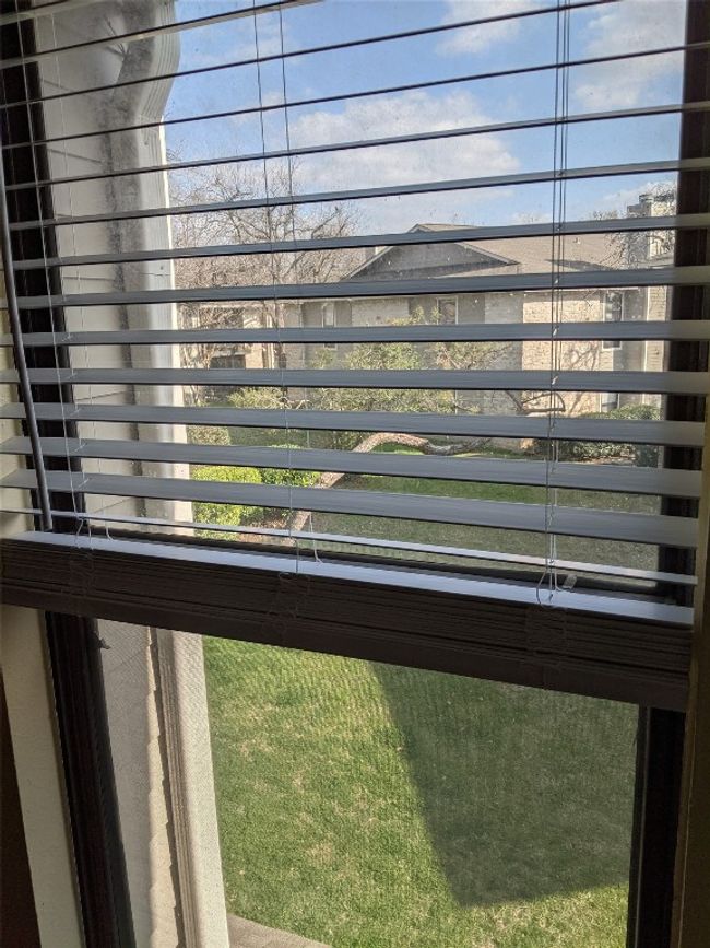 view from window | Image 10