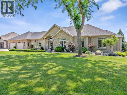 {{alt}} | Card Image