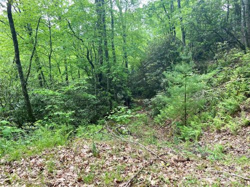 10-Lot 10 Mystic Forest Way, Bryson City, NC, 28713 | Card Image