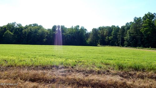 519 County Road 247, Bruce, MS, 38915 | Card Image