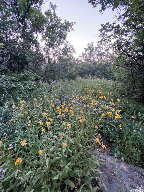 498-58 Juniper Dr, Fish Haven, ID, 83287-5142 | Card Image