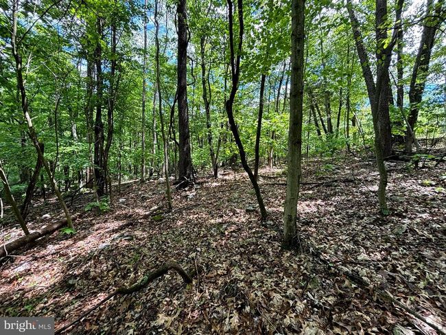 LOT 4 Yost Rd, Home with 0 bedrooms, 0 bathrooms and null parking in New Creek WV | Image 8