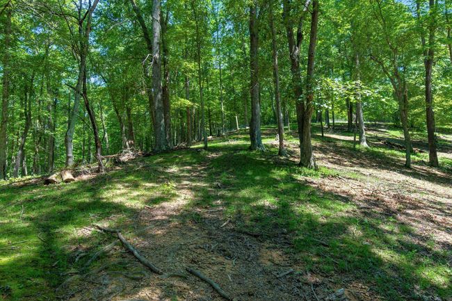 58501 Us Highway 50, Home with 0 bedrooms, 0 bathrooms and null parking in Mc Arthur OH | Image 57