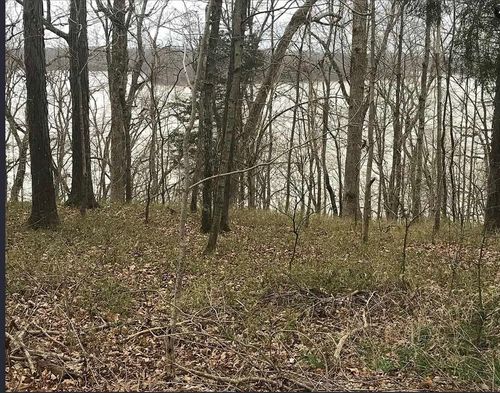 796 Joe Morris Road, Glasgow, KY, 42141 | Card Image
