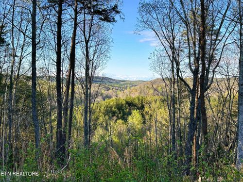 2 Sw Owl Hollow Rd, Mcdonald, TN, 37353 | Card Image