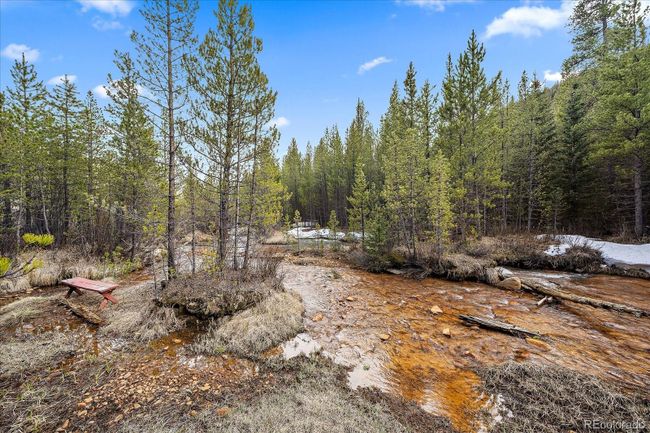North Fork of the South Platte River runs through! | Image 41