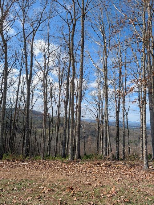 LOT 91 Winding Rdg, Blairsville, GA, 30512-6627 | Card Image