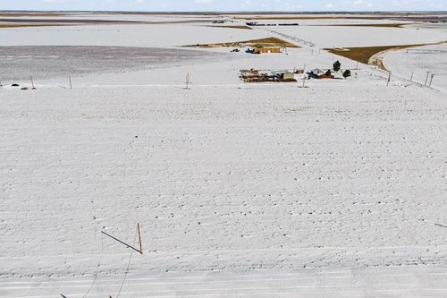 Lot 40 Private Rd 101-B, Seminole, TX, 79360 | Card Image