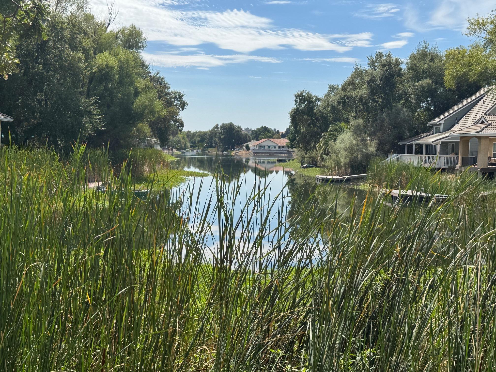 Land in Cottonwood 2