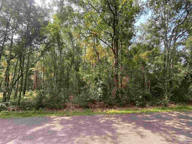 0 Corral Rd, Home with 0 bedrooms, 0 bathrooms and null parking in Milton FL | Image 8