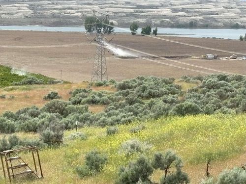 NKA Ringold Rd, Eltopia, WA, 99330 | Card Image