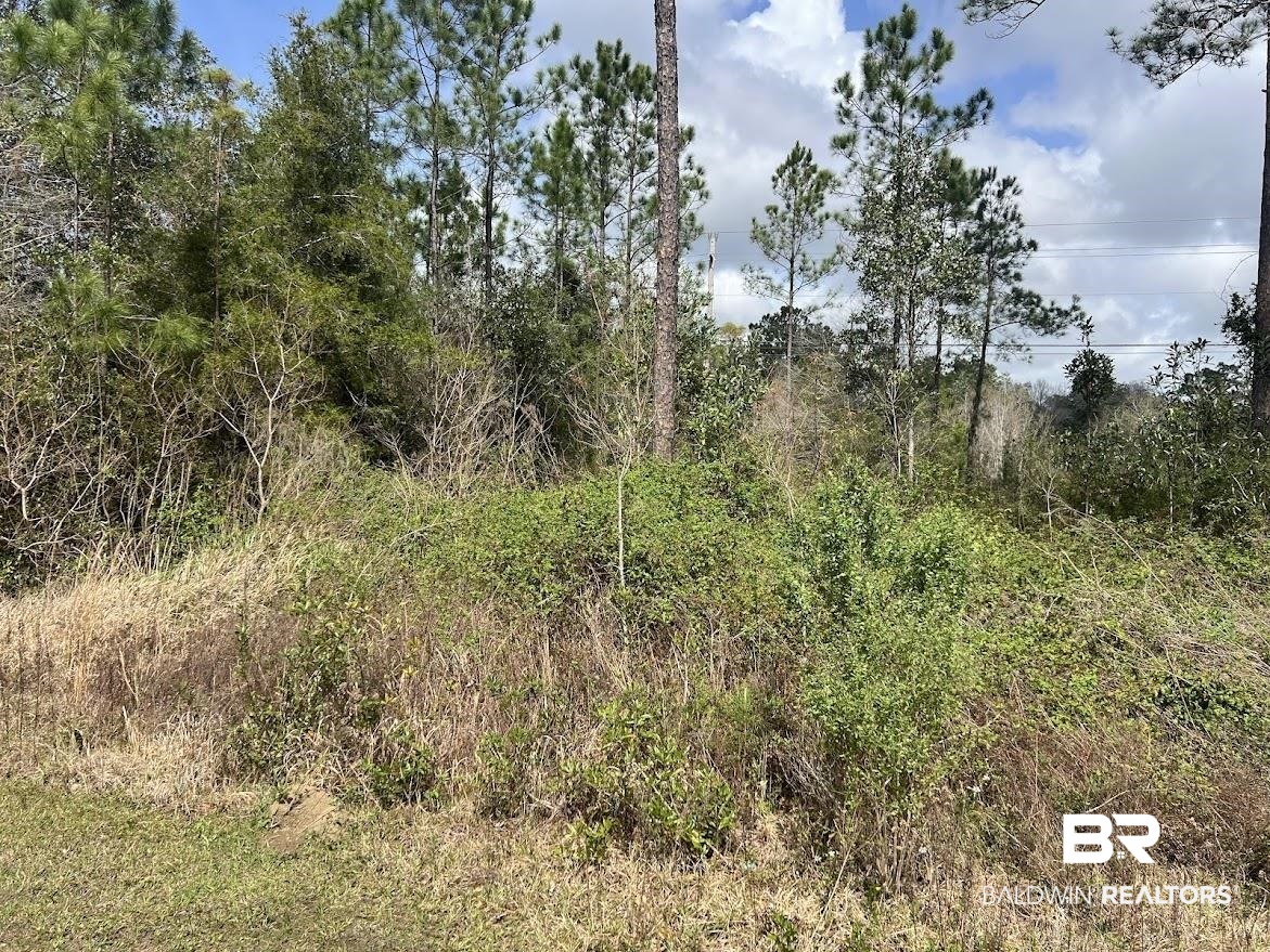 Land in Summerdale 5