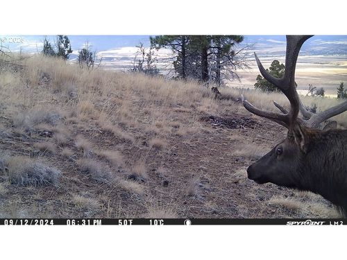 613 W Main St, John Day, OR, 97845-1034 | Card Image