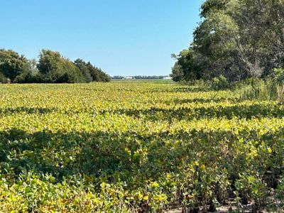 View of landscape with a rural view | Image 1