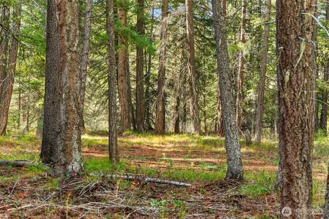0 S Shugart Flats Rd, Home with 0 bedrooms, 0 bathrooms and null parking in Leavenworth WA | Image 7