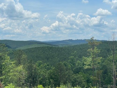 5000 Mines Rd, Ashland, AL, 36251 | Card Image